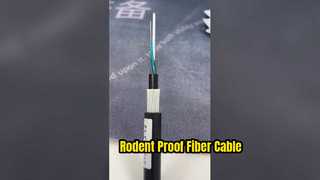 Cable de fibra óptica antiroedores no metálico FRP 24 blindados GYFTY83 48 96 bases