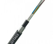 Double Sheath Double Armored 2-144 Cores GYTA53 Fiber Optical Cable