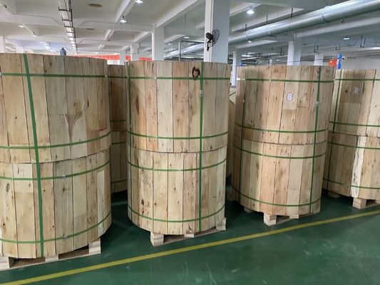 G652D 12 24 36 48 72 96 144 288 Cable de fibra óptica con doble vaina blindada bajo tierra