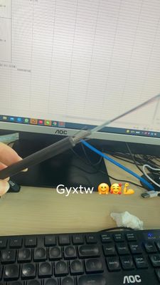 GYXTW blindado personalizado 2 4 6 8 12 24 núcleo cable de fibra óptica de modo único 6 mm 7 mm 8 mm con mensajero