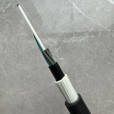 Cable de Fibra Óptica GYFTY83 con Memoria de Resistencia de FRP Blindado Anti-Roedores de 12 24 48 Hilos