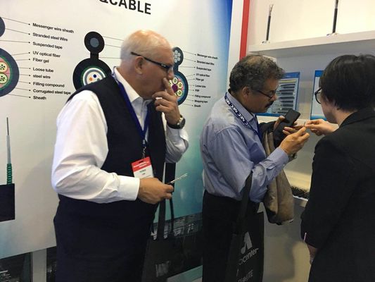 No cable subterráneo de fibra óptica anti del roedor GYFTY6363 del metal