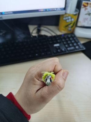 Solo palmo no metálico G652D de la base el 100/200m del cable de fribra óptica 6/12/24/48/96 de la chaqueta ADSS